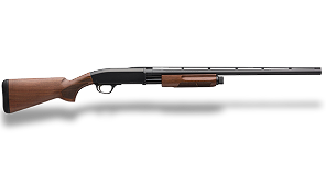 Homepage 12 shotguns transparent
