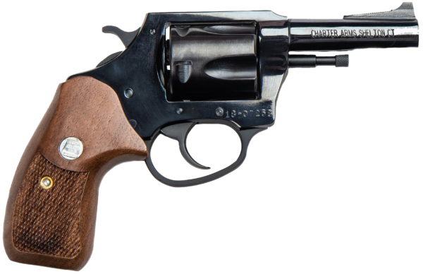 Charter Arms Bulldog 44 SPL 3" 5-shot 34431