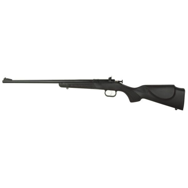 KSA Crickett Gen 2 Single-Shot 22 LR 16.1" Blued KSA2240