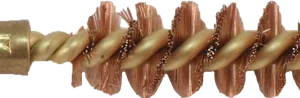 32P