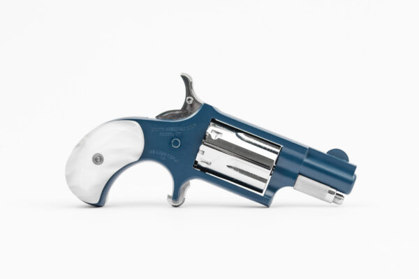 NAA-22LR-NBC-HP